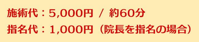 施術代:5,000円/約60分 指名代:1,000円(院長を指名の場合)